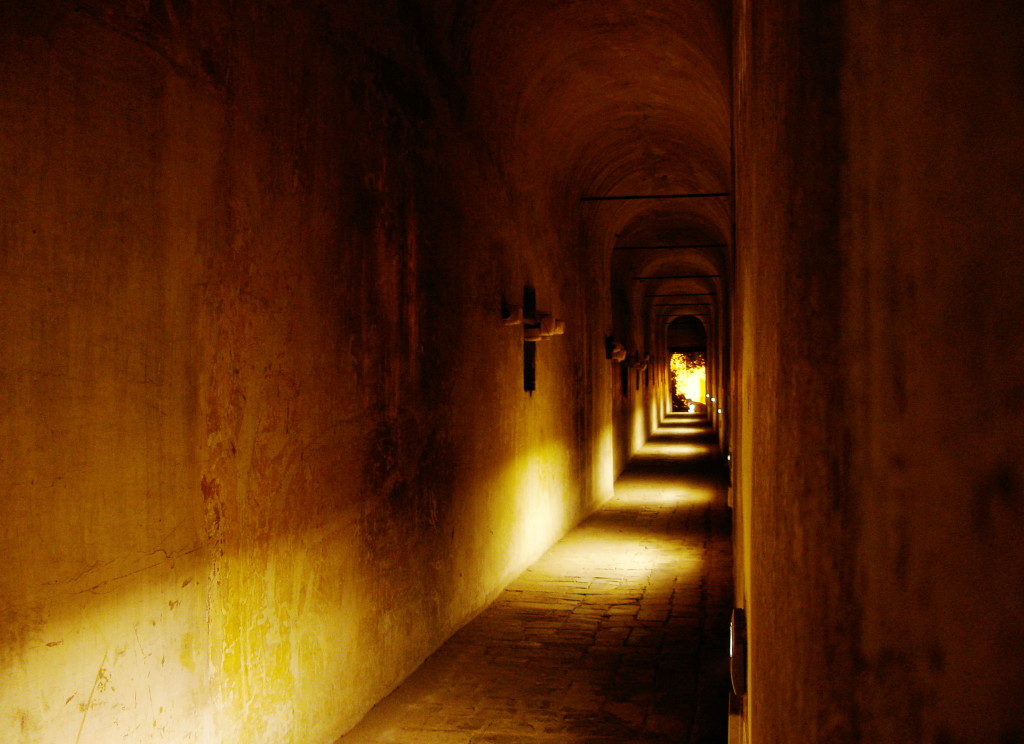 View of inside the Passetto, the secret passage between Vatican City and Castel Sant'Angelo in Rome, Italy. Photo by Raja Patnaik with post-processing by Alessio Damato. Used under Creative Commons Attribution Share-Alike Unported 3.0. License link: https://creativecommons.org/licenses/by-sa/3.0/deed.en